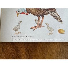 Vintage Dinosaurs My Little Hen 1970s Random House Book Lot