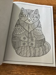 Cat Coloring Book 32 Playful Spring- Inspired Designs
