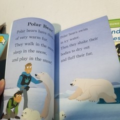 Lot 10 Early Reader Books Learn to Read Kindergarten Level 1 2 Phonics Kids