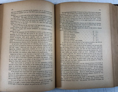Fools of Fortune or Gambling and Gamblers, Quinn, 1891, E-93