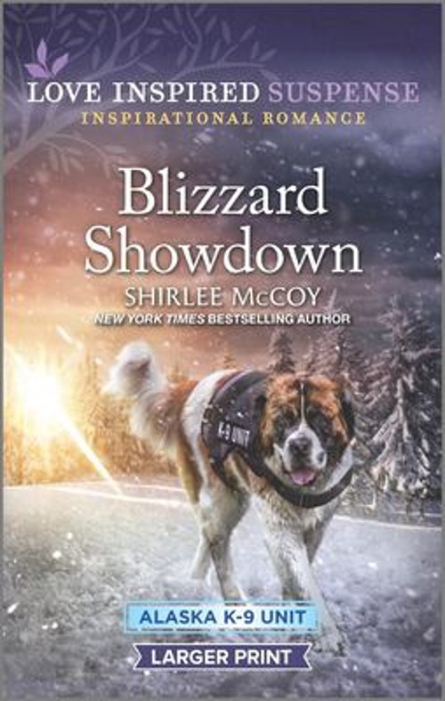 Blizzard Showdown Mass Market Paperbound Shirlee McCoy
