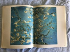 Van Gogh in Saint-Remy and Auvers