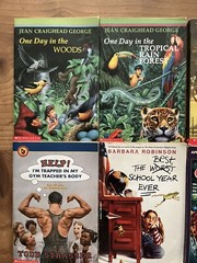 Vintage Various 90s Lot of 15 Books Scholastic Apple Fiction Horror Mystery Teen