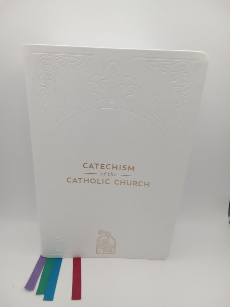 Catechism of the Catholic Church by Fr. Mike Schmitz ( 2022, Ascension Press)