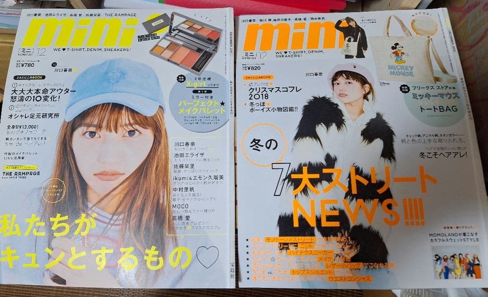 Haruna Kawaguchi Cutouts 76 Pages from 20 Magazines File Collectible
