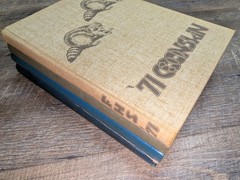CHOICE Frisco TX Coonskin School Yearbook Annual 1971, 1973, 1976, 1981 Vintage