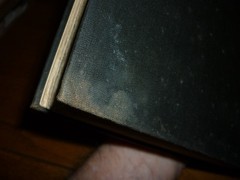Herbert O Yardley. American Black Chamber. 1931. Secret Service. Codes. VG, dj.