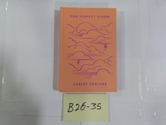 Our Perfect Storm Carley Fortune Adult Romance Fiction Hardcover Orange