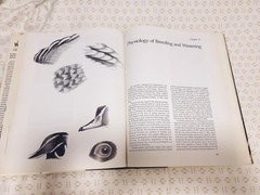 ECOLOGY & MANAGEMENT OF THE WOOD DUCK, 1994, Bellrose & Holm FF9.5