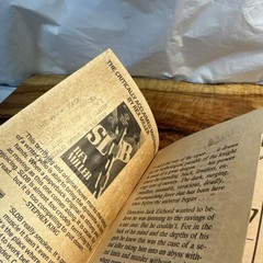 Stone Shadow Rex Miller Horror Paperbacks from Hell