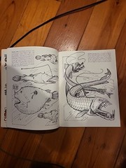 Strange Creatures of the Sea Coloring Book by Llyn Hunter (1991, Trade…