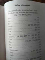 My First Study Bible Book Exploring God On My Own By Paul J Loth 528 Pages
