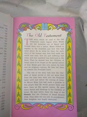CATHOLIC PICTURE BIBLE – WHITE LEATHER, GILDED PAGE EDGES