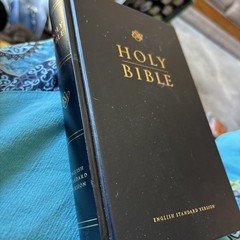 ESV Holy Bible (Black)