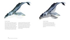 Everyday Watercolor Seashores: A Modern Guide to Painting Shells, Creatures, and
