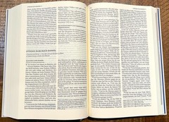 German Bible, Die Bibel, 2017 Revised Luther + Deuterocanon, Hardcover Jubilee