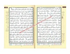 Tajweed Quran Arabic only,Size 6.8 x 5.0 x 1.2 inch