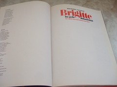 Barbara Rias-Bucher BRIGITTE, DAS GROSSE WEIHNACHTSBUCH viele originelle