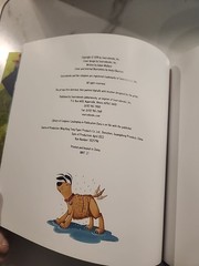 How to Catch a Mermaid – hardcover Wallace, Adam|Elkerton, Andy