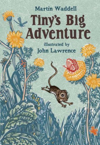 Tiny’s Big Adventure – hardcover, Martin Waddell, 9780763621704