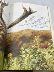 GNOMES Wil Huygen Rien Poortvliet 1977 Hardcover Harry N. Abrams DJ Brown