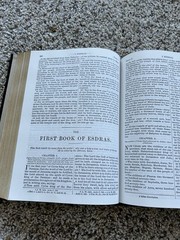 The Holy Bible Douay Rheims Version Catholic 1989 Orthodox Hardcover Black F26