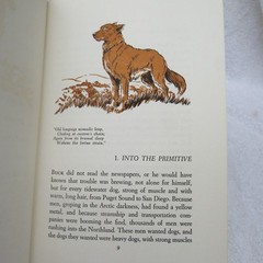 The Call Of The Wild ~ Jack London~ HC~ MacMillan Company 1963- Illustrated Todd