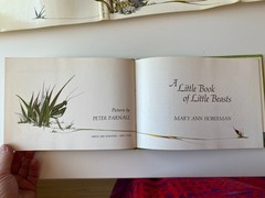 LITTLE BOOK LITTLE BEASTS~Mary Ann Hoberman~PETER PARNALL~1973 1st HCDJ~Verses~
