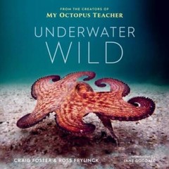 Underwater Wild: My Octopus Teachers Extraordinary World – Hardcover – GOOD