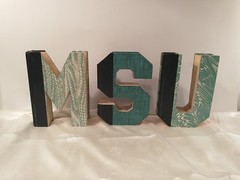 Decor MSU Mich State Univ Cut Letters Readers Digest Condensed Books Dorm Grad