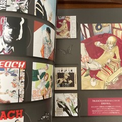Bleach EX 20th Anniversary Exhibition Art Book THE BRAND NEW BLACK Illustration