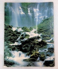 National Wildlife Magazine 1983 Aug-Sep Dolphin Cover Nature Environment