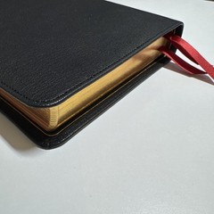 Holy Bible ESV Heirloom Single Column Personal Size Bible, Goatskin, Black