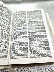 Cambridge KJV Cum Privilegio, White French Morocco Leather. Brevier Text Edition