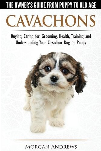 Morgan Andrews Cavachons – The Owner’s Guide from Puppy (Paperback) (UK IMPORT)
