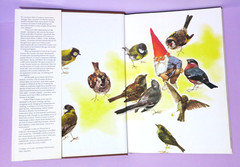 Gnomes by Wil Huygen Illustrated by Rien Poortvliet 1977 Vintage Hardcover DJ
