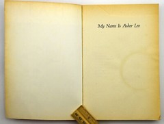 My Name Is Asher Lev – Paperback By Potok, Chaim 1996 – GOOD