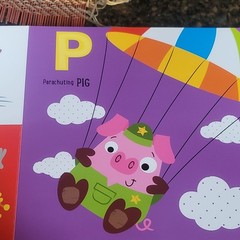 Amazing Animal Alphabet by Make Believe Ideas Illustrated Board Book Ages 0-2
