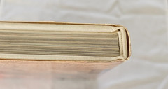 Fossils , Unknown Companions , text by Enrico Annoscia HC/DJ/1981/English