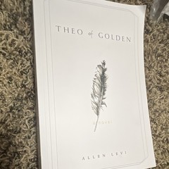 Theo of Golden Allen Levi Paperback Fiction Novel Kindness Creative Generosity