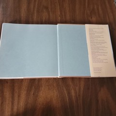 The Paintings of Sylvia Plimack Mangold: 1965-1982 Thomas H. Garver