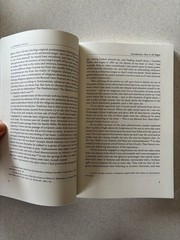 A Different Jesus? Robert L. Millet 2005 Paperback Comparative Theology Eerdmans