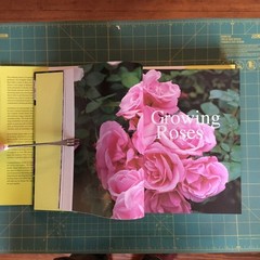 THE COMPLETE garden Flower Book 800 Pages 1000 + Pictures, Like New