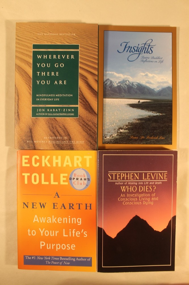 Wherever You Go There You Are, A New Earth, Who Dies? & Insights (4 Books)