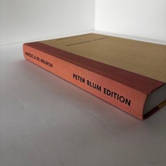 Herzog & de Meuron Drawings Architecture Art 8.7×11.7in