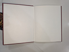 Thayer Tayer Theyer Families Gloucestershire : 1500-1660 | Leather, HC – SIGNED