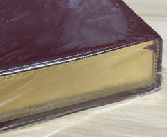 The Promise Holy Bible Study Edition 3595BG CEV Burgandy Bonded Leather New