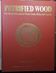 PETRIFIED WOOD The World of Fossilized Wood,Cones,Ferns,and Cycads#B-19