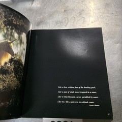 Unicorns I Have Known by Robert Vavra Hardcover