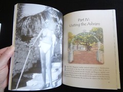 Sri Ramana Maharshi Friend of Animals Nondi and the Monkeys of Arunachala India